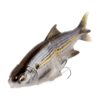 Select a product variant