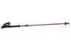 Image of Camp &amp; Hike Trekking Poles category
