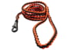 Image of Dog Gear category
