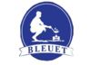 Image of Bleuet category