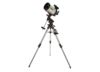 Image of Celestron Advanced VX Optics category