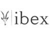 Image of Ibex category
