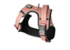 Image of Dog Gear category