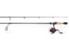 Image of Rods, Reels, &amp; Combos category
