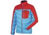 Image of Men's Down Insulated Jackets category