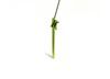 Image of Tent Accessories &amp; Stakes category