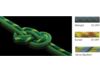 Image of Dynamic Ropes category
