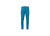 Image of Men's Hiking Pants category