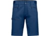 Image of Norrona Falketind Men's Shorts category