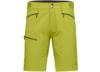 Image of Norrona Falketind Hiking Shorts category