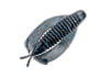 Image of Soft Bait category