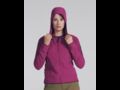 Arc'teryx Women's Delta LT Hoody - Dakini