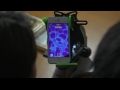 Carson Universal Smartphone Adapter