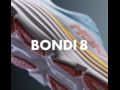 Hoka Bondi 8