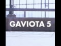 Hoka Gaviota 5