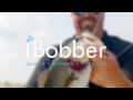 iBobber Bluetooth Fish Finder