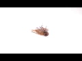 Missile Jigs - Ike's Micro Football Jig