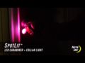 Nite Ize SpotLit LED Carabiner + Collar Light