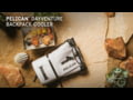 Pelican Dayventure Backpack Cooler