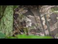 Under Armour Forest Camo