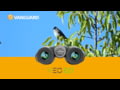 Vanguard VEO ED Binoculars Overview
