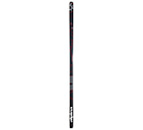 Image of Alpina CONTROL 60 180 Skis