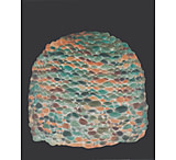 Image of Ambler Kaslo Beanie - Women's