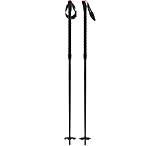 Image of Atomic BCT Freeride SQS Poles
