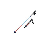 Image of Backcountry Access Scepter 4S Backcountry Poles