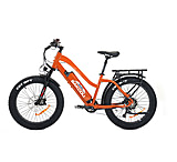 Image of Bakcou Flatlander Step-Through 24in 19.2ah eBike