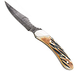 Image of Bear and Son Knives Caper Fixed Blade Knife