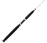 Image of Berkley Big Game Spinning Rod