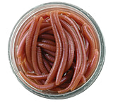 Image of Berkley Gulp! Alive! Angle Worm