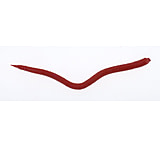 Image of Berkley Gulp! Saltwater Extruded Bloodworm Soft Bait
