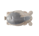 Image of Berkley Gulp! Saltwater Sand Crab Flea Soft Bait