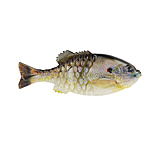 Image of Berkley PowerBait Gilly Soft Bait