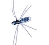 Image of Betts Stone Fly