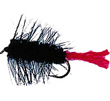 Image of Betts Wooly Worm