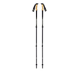 Image of Black Diamond Alpine Carbon Cork Trekking Poles