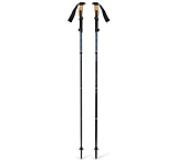 Image of Black Diamond Trail Vista FLZ Trekking Poles