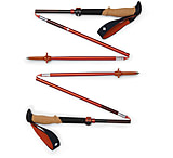 Image of Black Diamond Pursuit Flz Trekking Poles