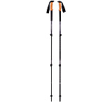 Image of Black Diamond Trail Cork Trekking Poles