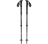 Image of Black Diamond Vapor 2 Ski Poles