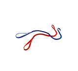 Image of Blue Ice Boa Leash