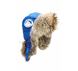 Image of Canada Goose Polar Bear International Aviator Hat - Men's-Royal Blue-S/M
