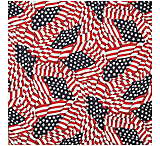Image of Carolina Manufacturing Patriotic Bandanas