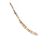 Image of Chompers Drop Shot Worm