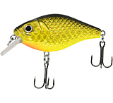 Image of CHUBBS Square Bill