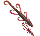 Image of Culprit Lizard Lizard