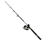 Image of Daiwa D-Wave Saltwater Rod and Reel Combo - 1BB